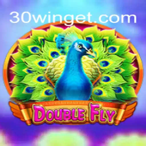 Descubra o Fascinante Mundo de DoubleFly: Regras e Estrutura do Jogo
